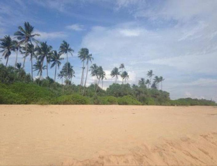 Hotel Golden Bell Tangalle Bagian luar foto