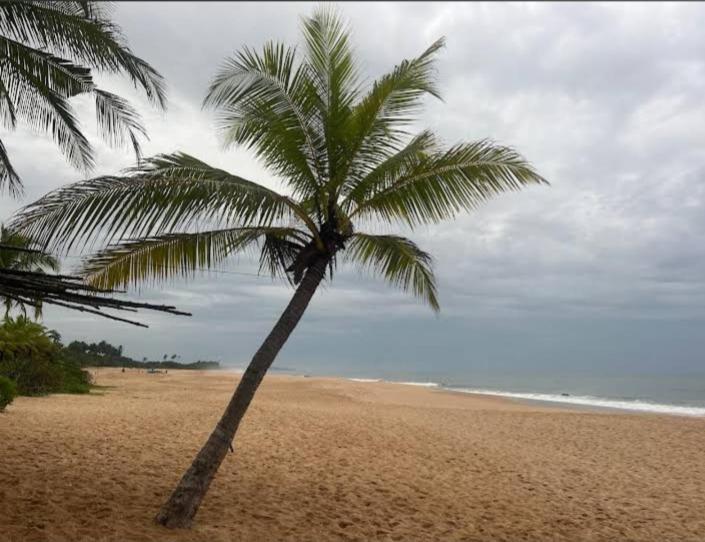 Hotel Golden Bell Tangalle Bagian luar foto