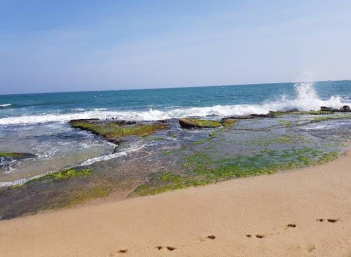 Hotel Golden Bell Tangalle Bagian luar foto